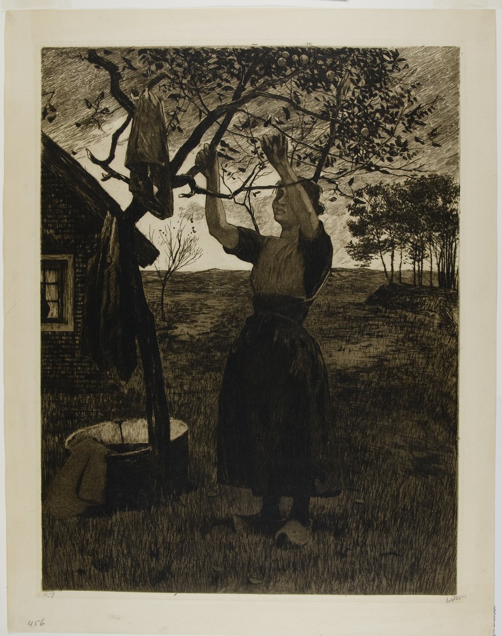 Äppelträdet av Willem Arnoldus Witsen