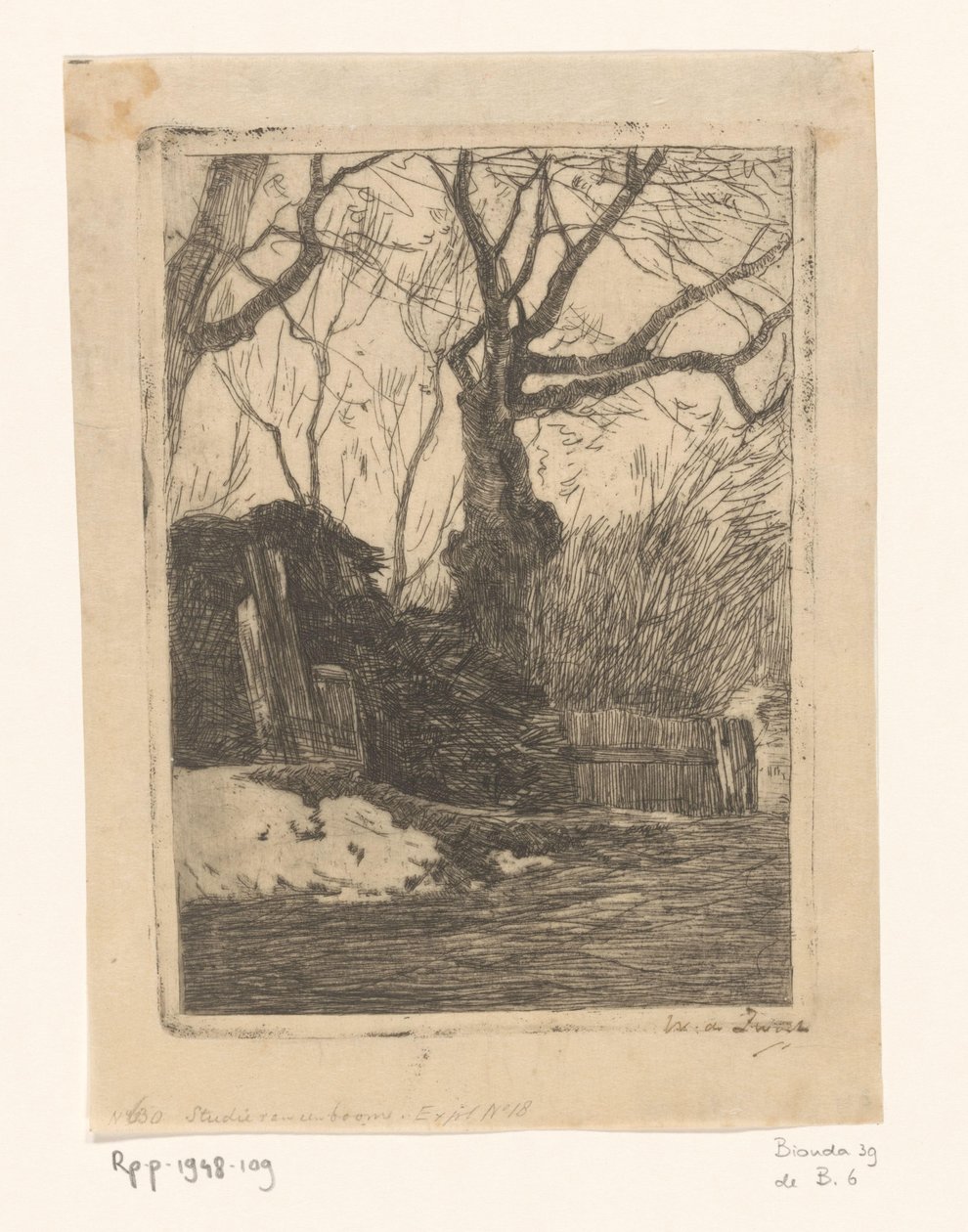 Träd och bögar vid ett staket Kvistar nära ett staket med träd (originaltitel) av Willem de Zwart (signed by artist)