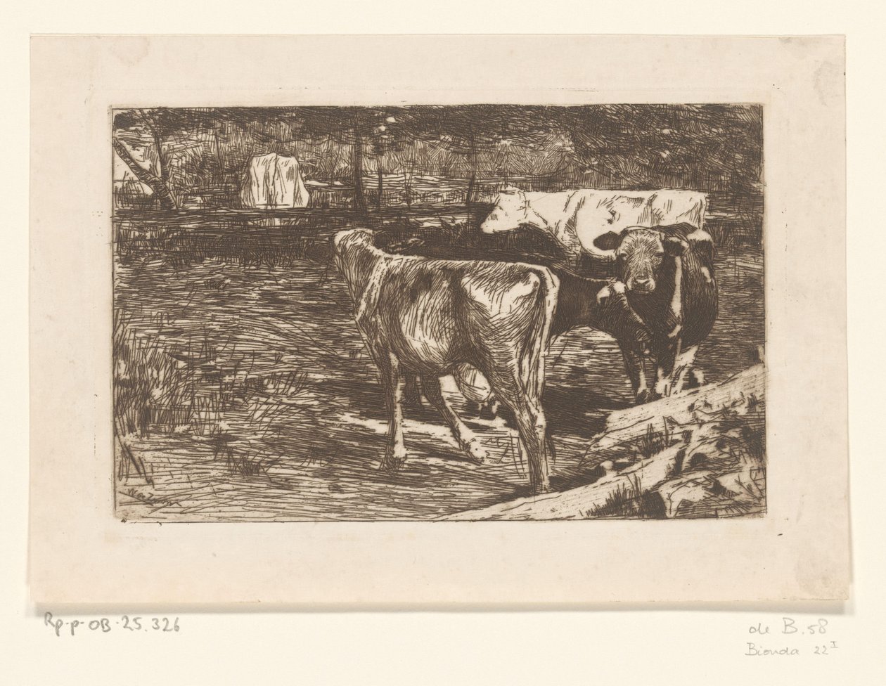 Fyra kor på en äng Milk Bend (originaltitel) av Willem de Zwart