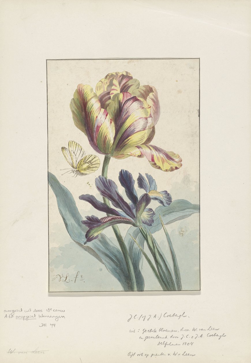Tulpan och iris av Willem van Leen