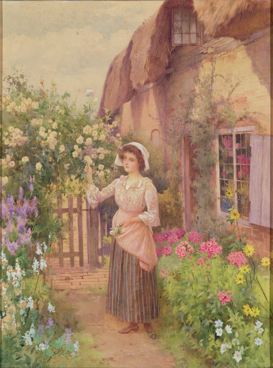 Plocka rosor av William Affleck