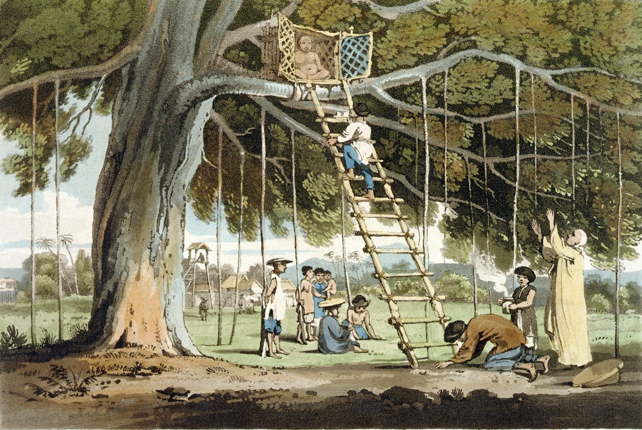 An Offer of First Fruits to the God Fo, skylt 16 från 