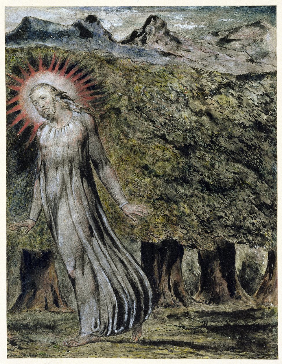 En profet i vildmarken (penna och bläck med gouache på papper) av William Blake