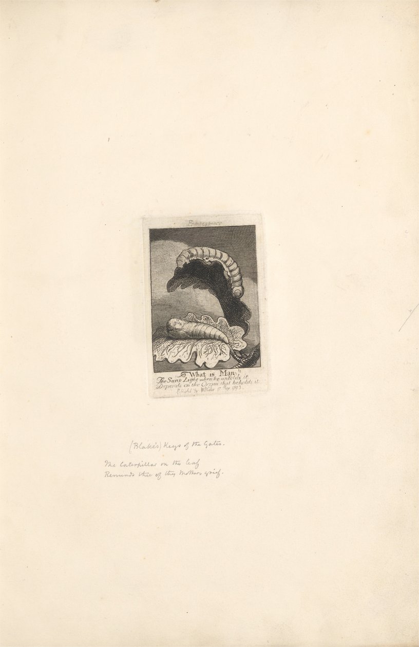 För könen- Paradisets portar, platta 2, Frontispiece, What is Man! av William Blake