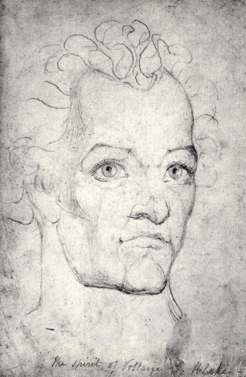 Head of Voltaire  av William Blake