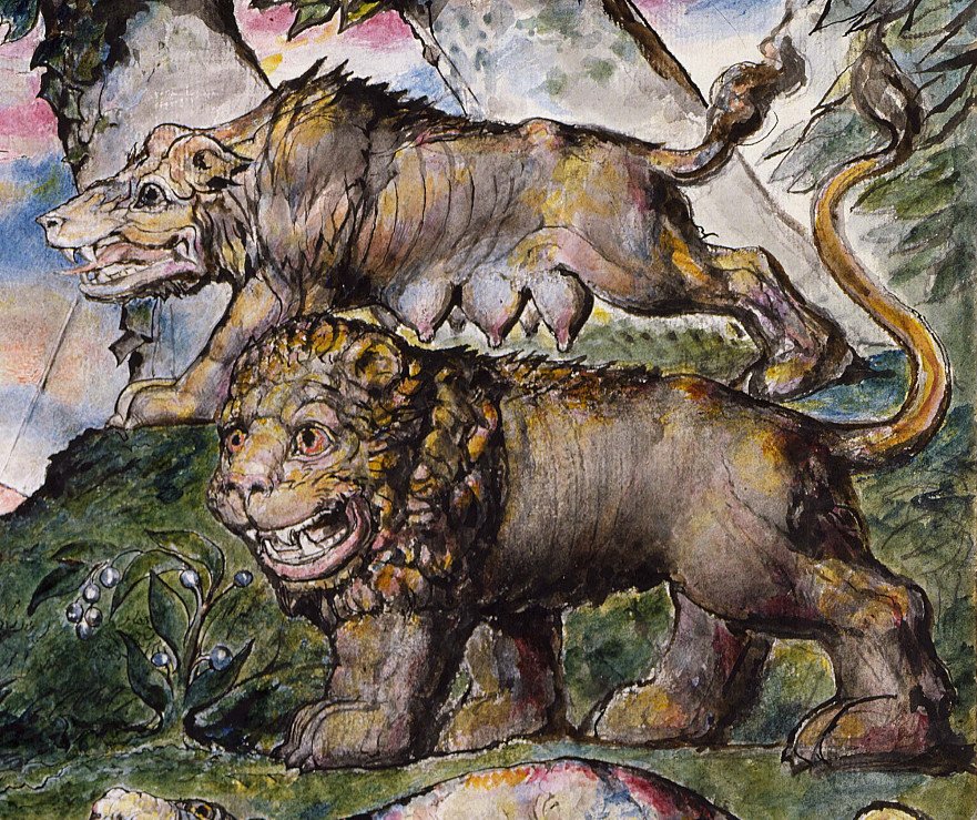 Lion und Wolf  av William Blake