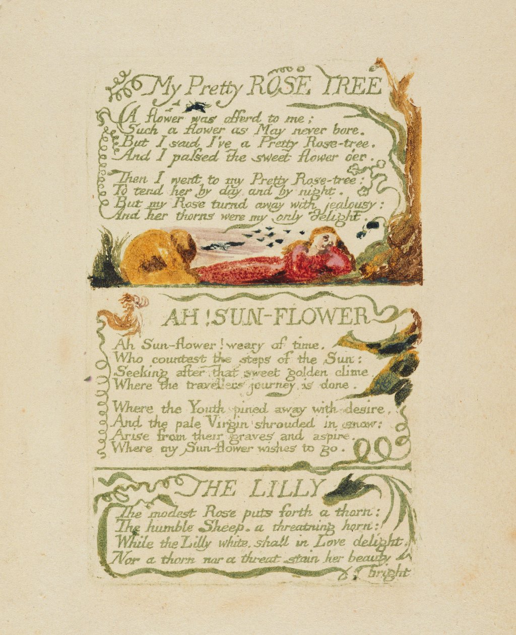 "Mitt vackra rosenträd" och "Ah! Sun-flower" och "The Lily", från "Songs of Experience", 1794 (reliefetsning med handfärgning och akvarell) av William Blake