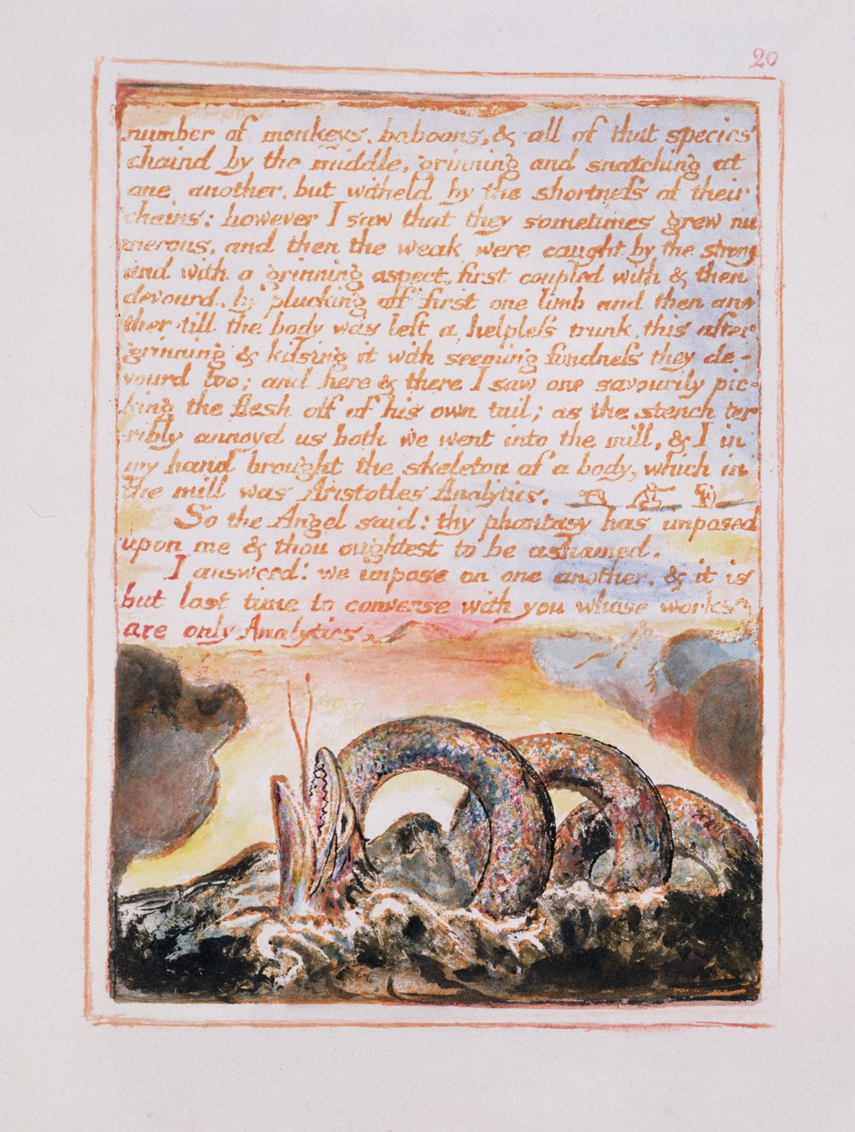 Antal apor, babianer.., illustration och text från The Marriage of Heaven and Hell, c.1790-3 (reliefetsning avslutad med penna och wc) av William Blake
