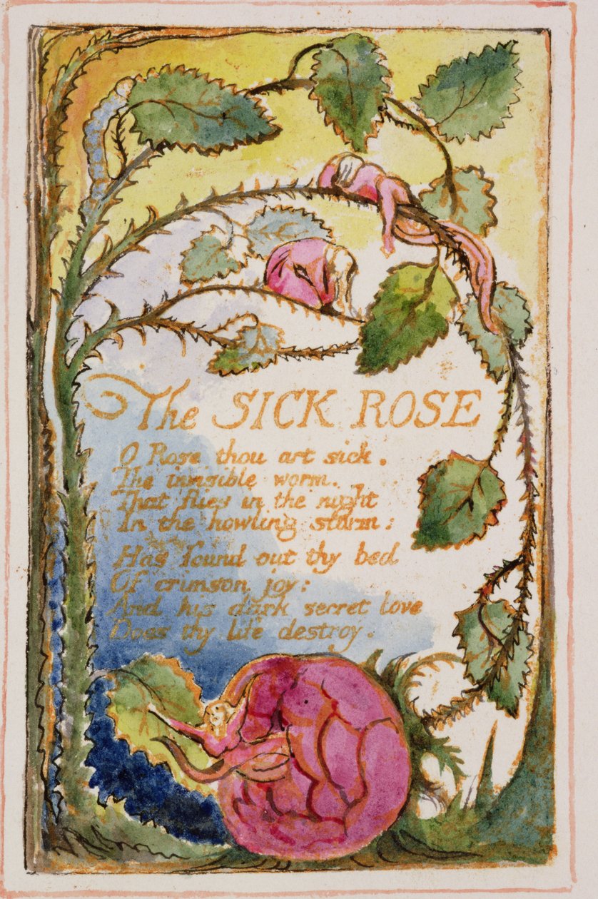 P.125-19503.pt39 Den sjuka rosen: plåt 39 från Songs of Innocence and of Experience (kopia AA) c.1815-26 (etsning, bläck och wc) av William Blake