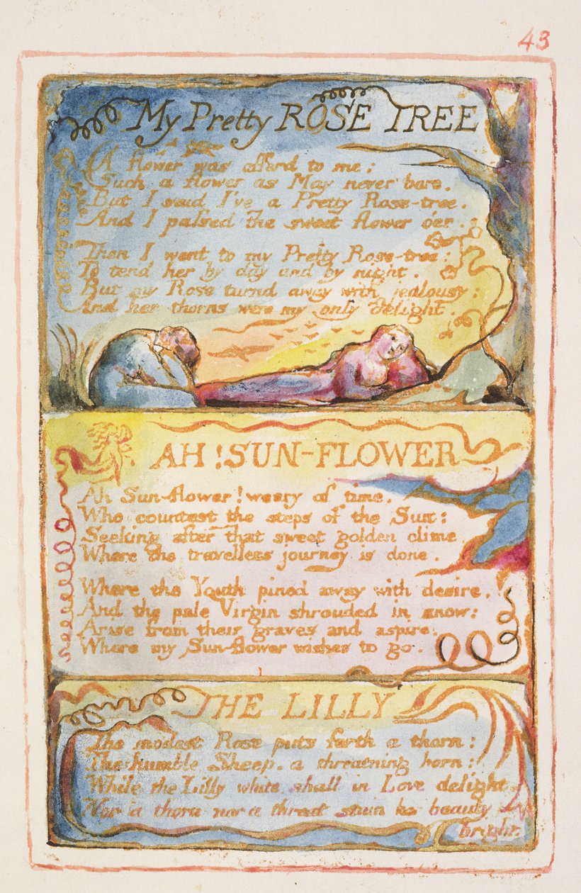P.125-1950.pt43 My Pretty Rose Tree; Ah! Solros; The Lilly: skylt 43 från Songs of Innocence and of Experience (kopia AA) c.1815-26 (etsning, bläck och wc) av William Blake