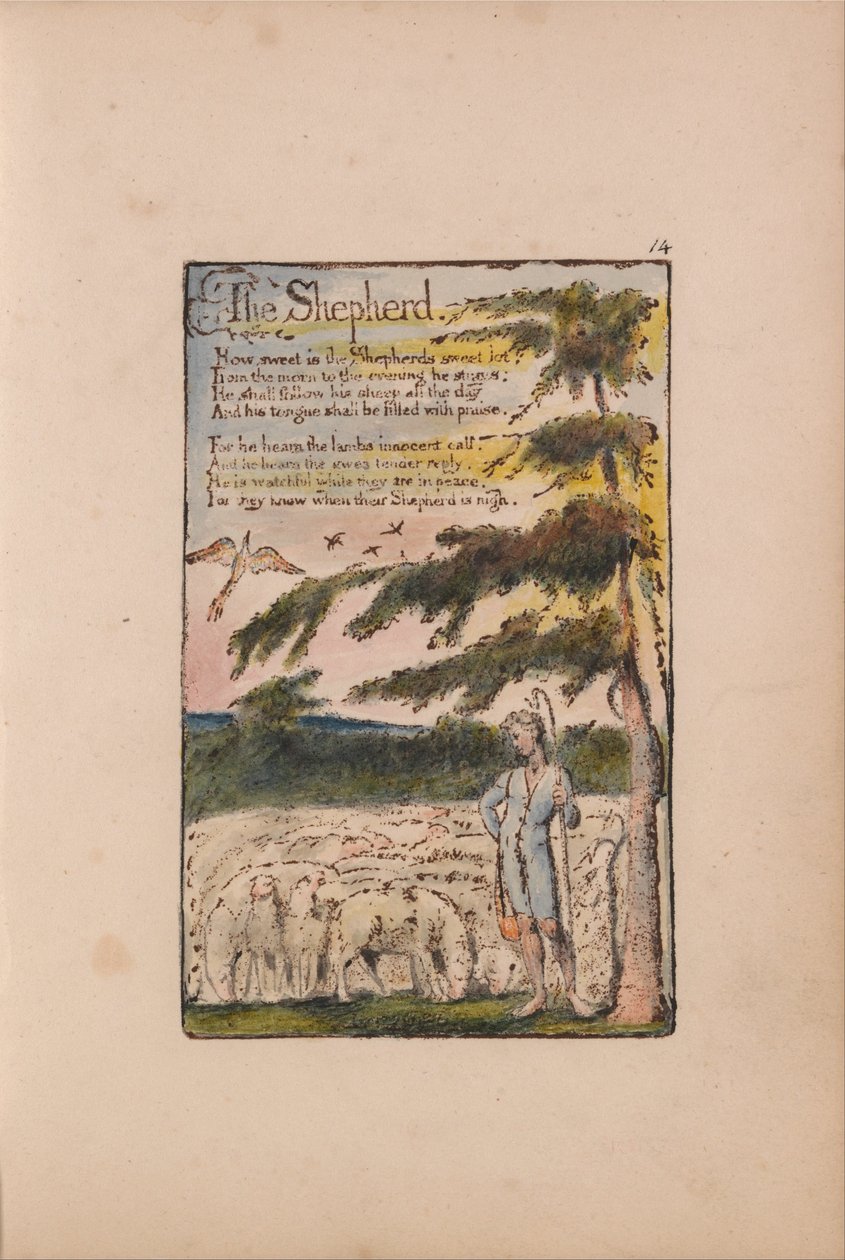 Sånger av oskuld och erfarenhet av William Blake