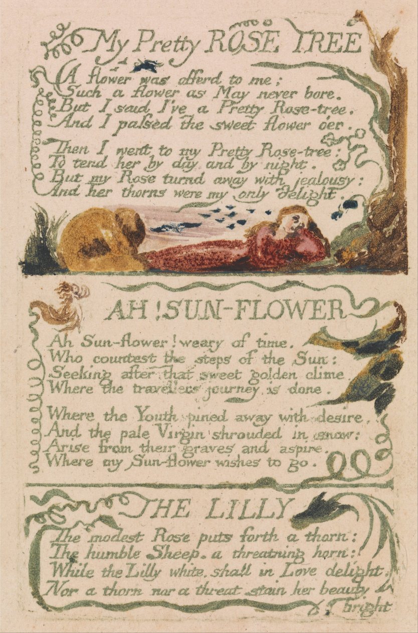 Songs of Innocence and of Experience, Plate 47, My Pretty Rose Tree (Bentley 43) av William Blake