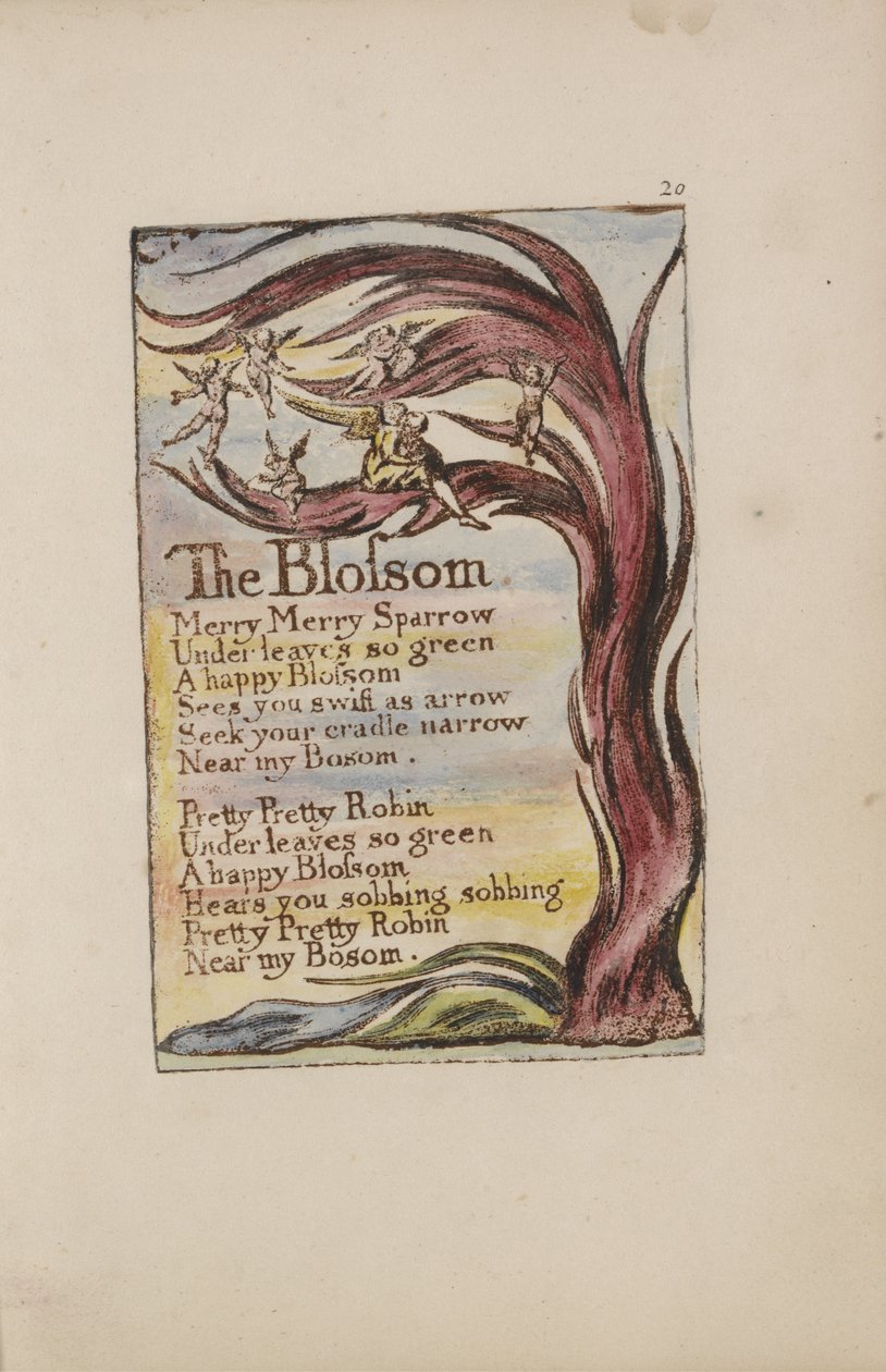 The Blossom, plate 20 from Songs of Innocence and of Experience [Bentley 11] c.1789-94 (relief etching printed in brown with pen & ink and wc) av William Blake
