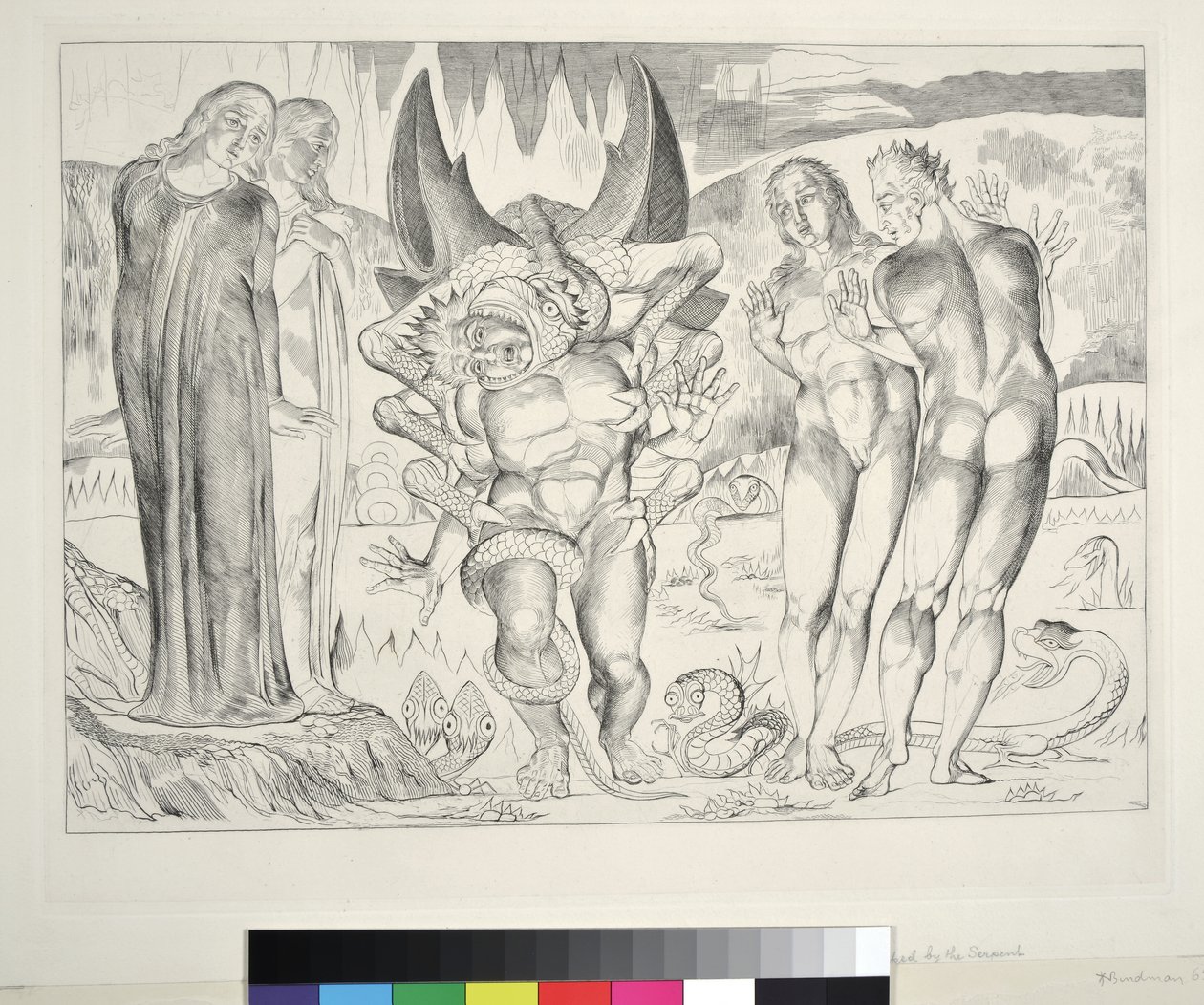 Tjuvarnas cirkel: Agnolo Brunelleschi attackerad av en sexfotad orm, Inferno, Canto XXV, illustration till "Den gudomliga komedin" av Dante Alighieri, 1827 av William Blake