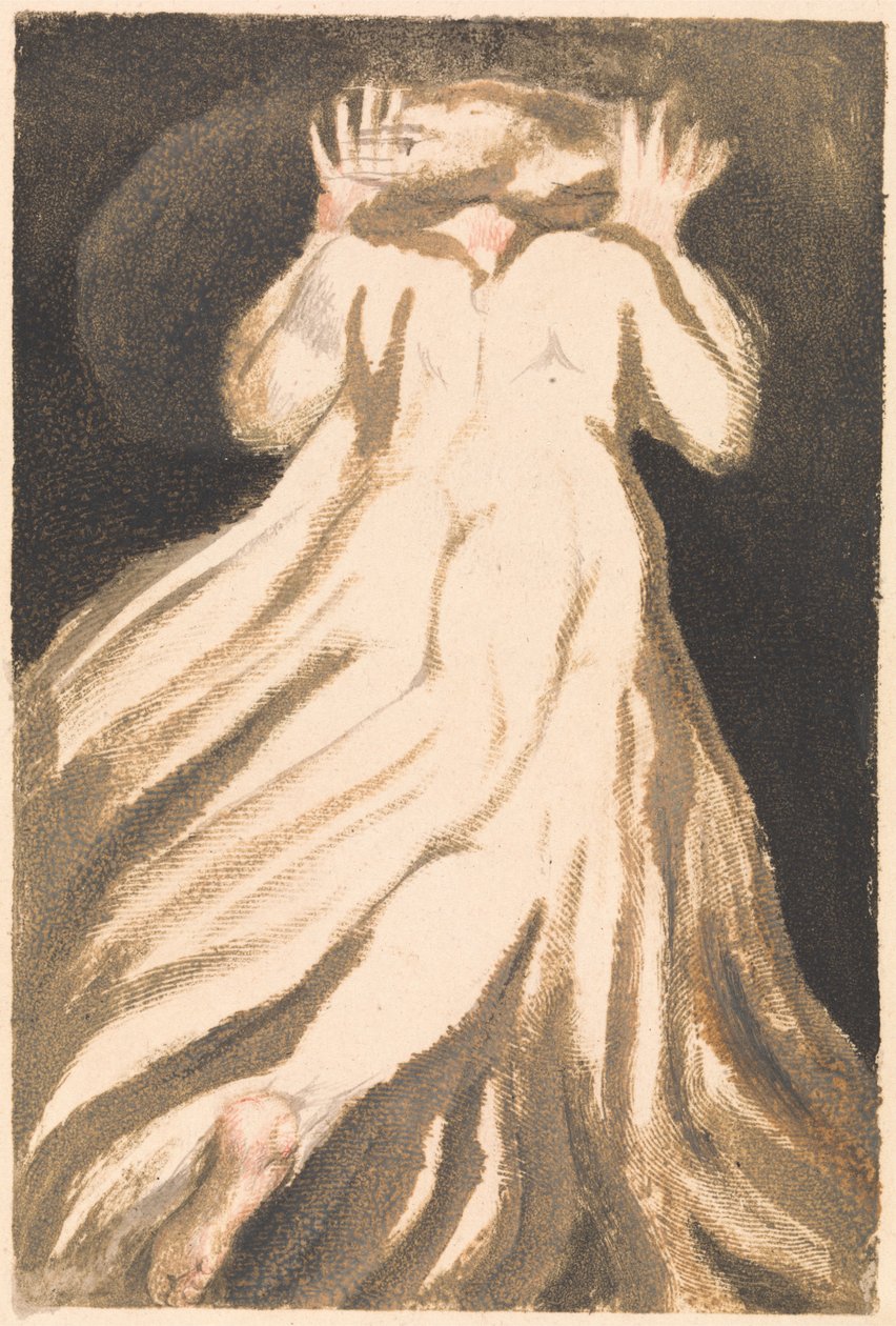 The First Book of Urizen, Plate 21 (Bentley 27) av William Blake