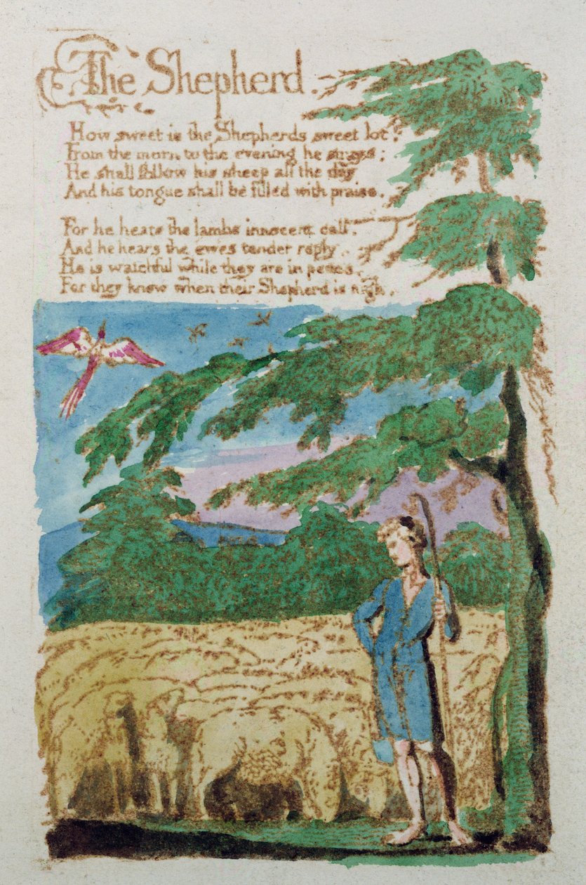 The Shepherd, från Songs of Innocence, 1789 (färgad etsning) av William Blake