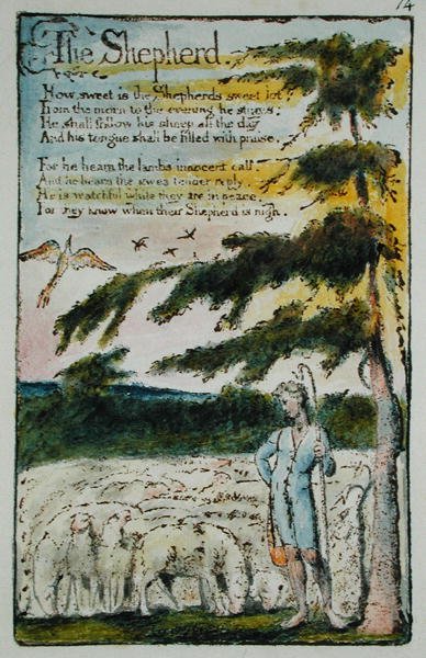 The Shepherd, illustration från Songs of Innocence and of Experience, (Bentley Copy L) pl.14 (Bentley 5) 1789-94 (reliefetsning med penna & wc på papper) av William Blake