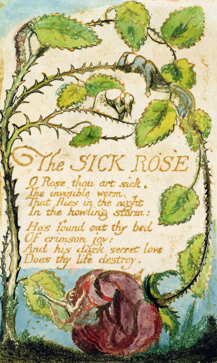The Sick Rose, från Songs of Innocence (etsning, bläck och wc) av William Blake