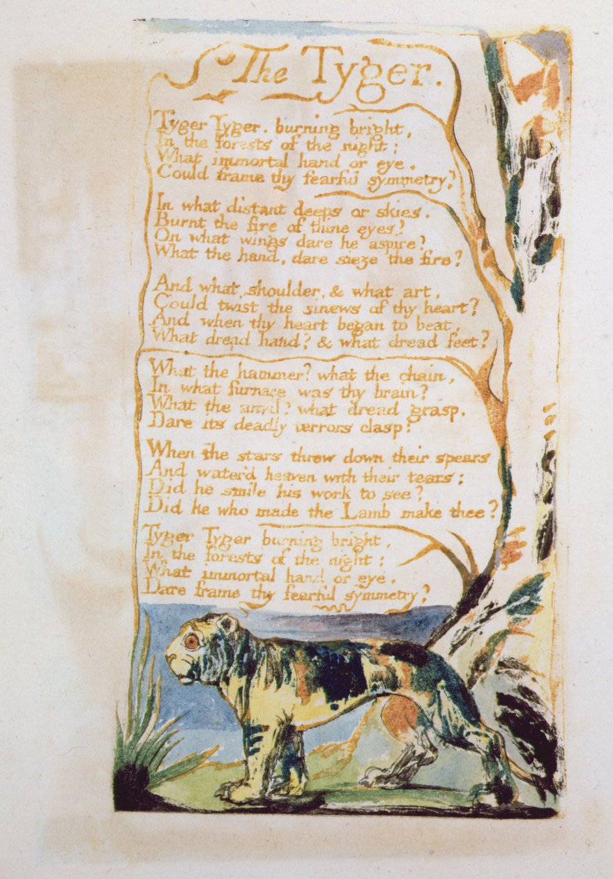 Tygeren, fra Songs of Innocence Seed av William Blake