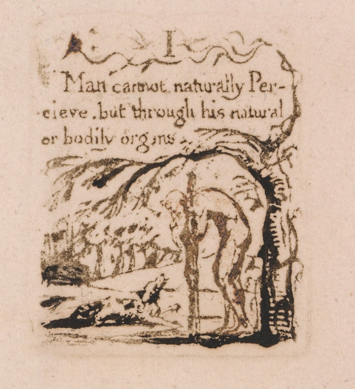 Det finns ingen naturlig religion, platta 3, jag människa kan inte naturligt. . . . (Bentley a4) av William Blake