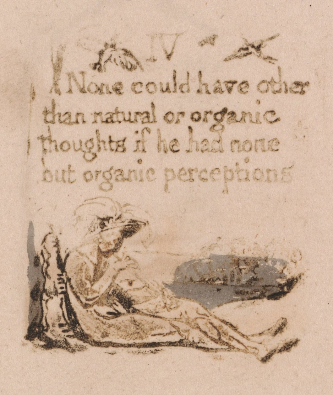 Det finns ingen naturlig religion, platta 6, IV Ingen kunde ha. . . . (Bentley a7) av William Blake