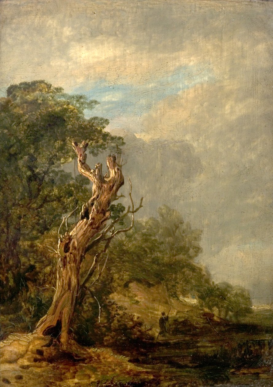 Det vissna trädet av William Collins