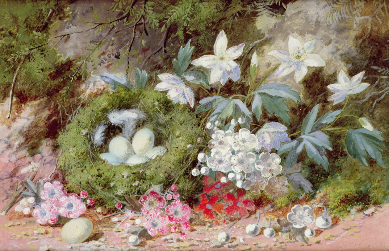Stilleben med fågelbo av William Cruikshank