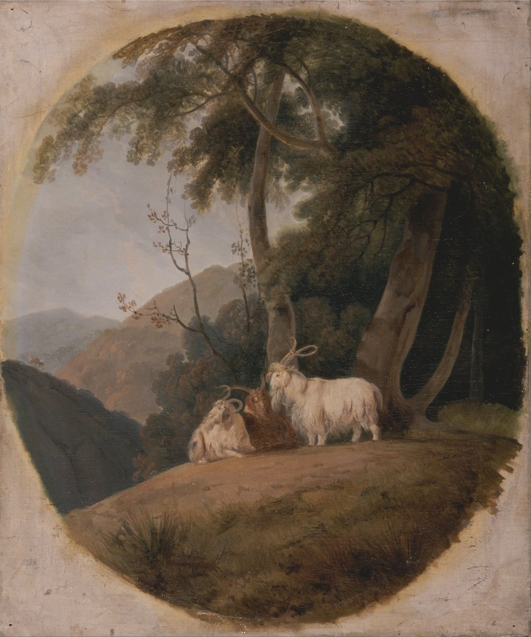 Kashmirgetter av William Daniell