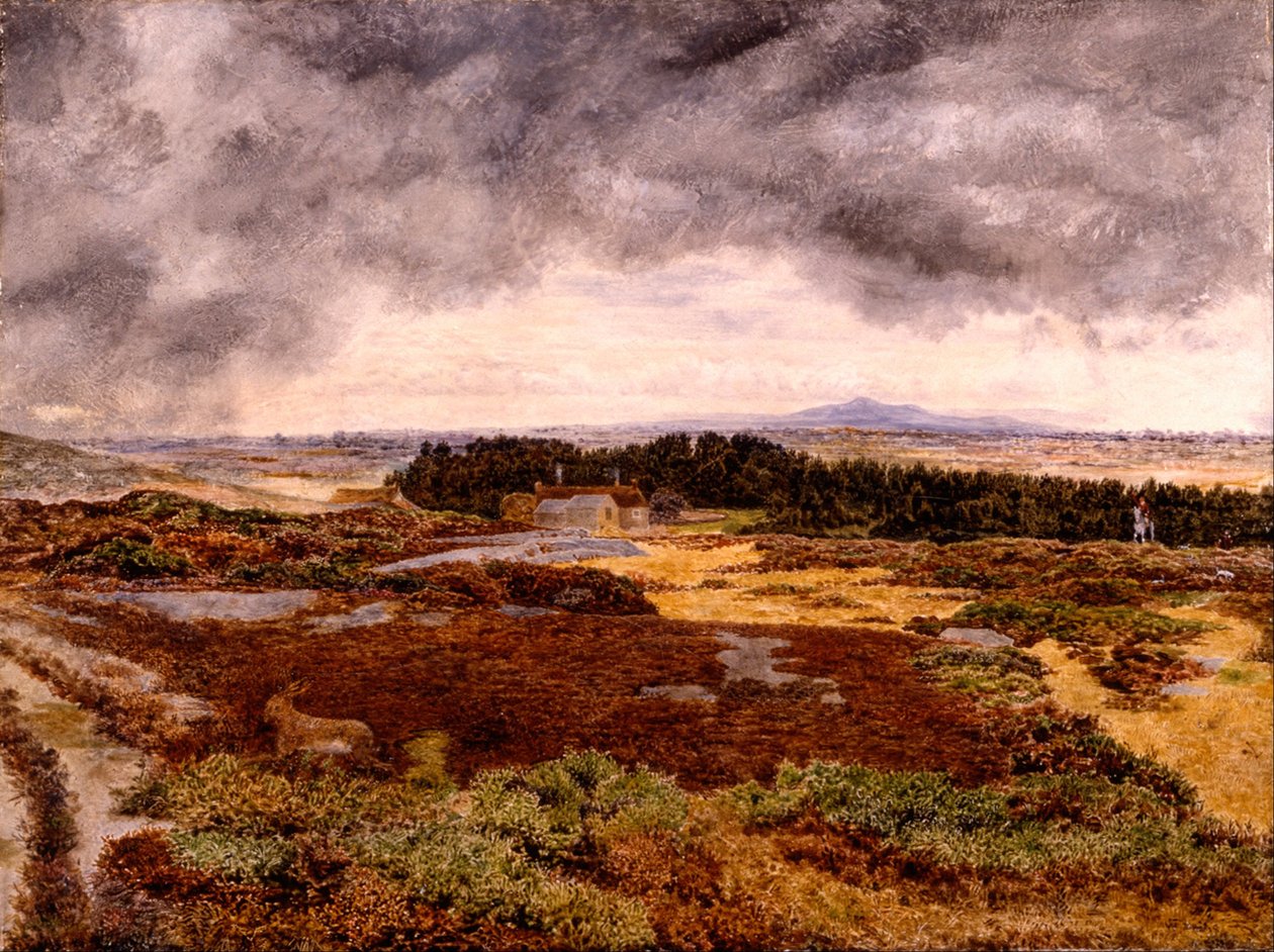 Utsikt från Bidston Hill av William Davis