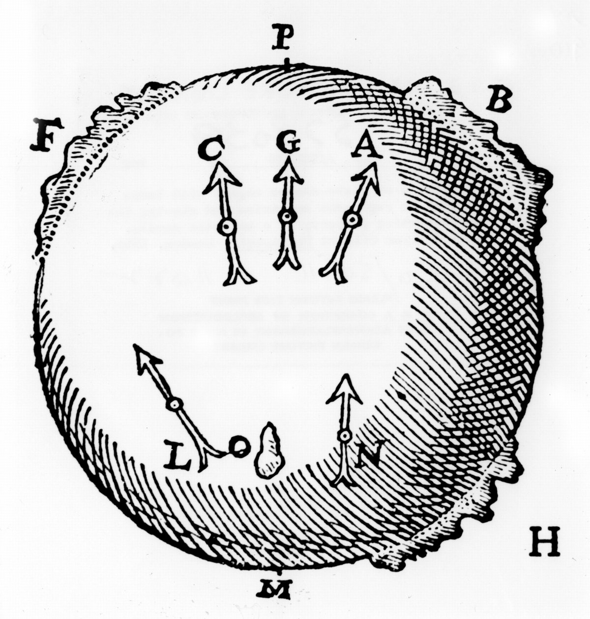 En terrella- eller klotformad magnet med järnklumpar för att representera berg och som visar den nordsökande egenskapen hos en magnetisk nål. Från William Gilbert De Magnete, London, 1600 av William Gilbert