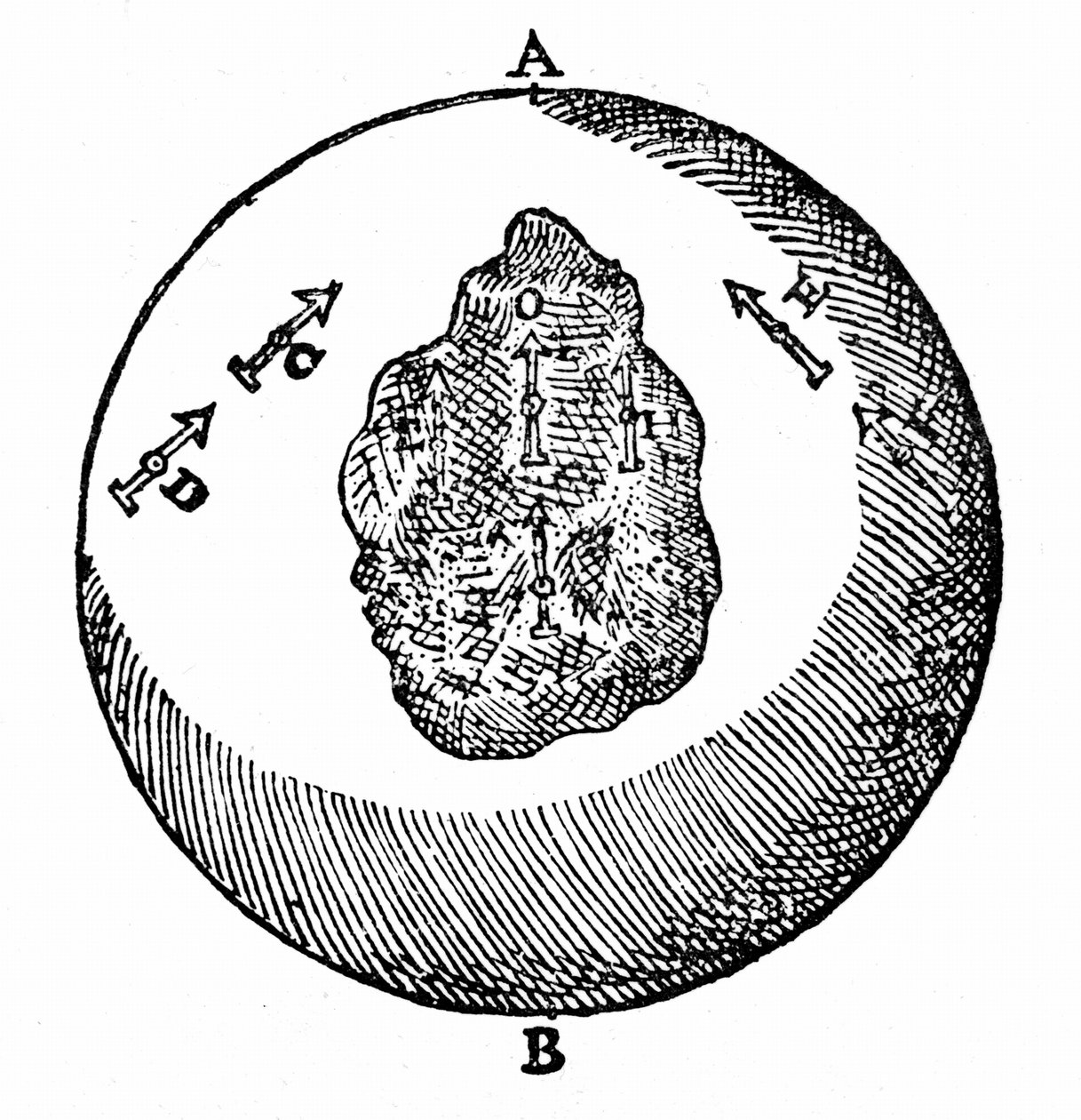 Magnetiska nålar på en terrella pekar mot nordpolen, A. Andra nålar gör detsamma, även om terrellans yta är ojämn, som vid O. Från William Gilbert De Magnete, London av William Gilbert