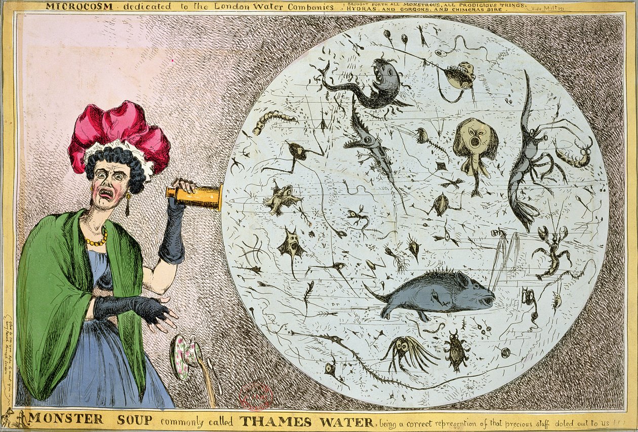Mikrokosmos tillägnat London Water Companies: Monstersoppa, vanligen kallad Thames Water, som är en korrekt representation av de dyrbara sakerna som delas ut till oss!!!, graverad och publicerad 1828 f.Kr. av William Heath