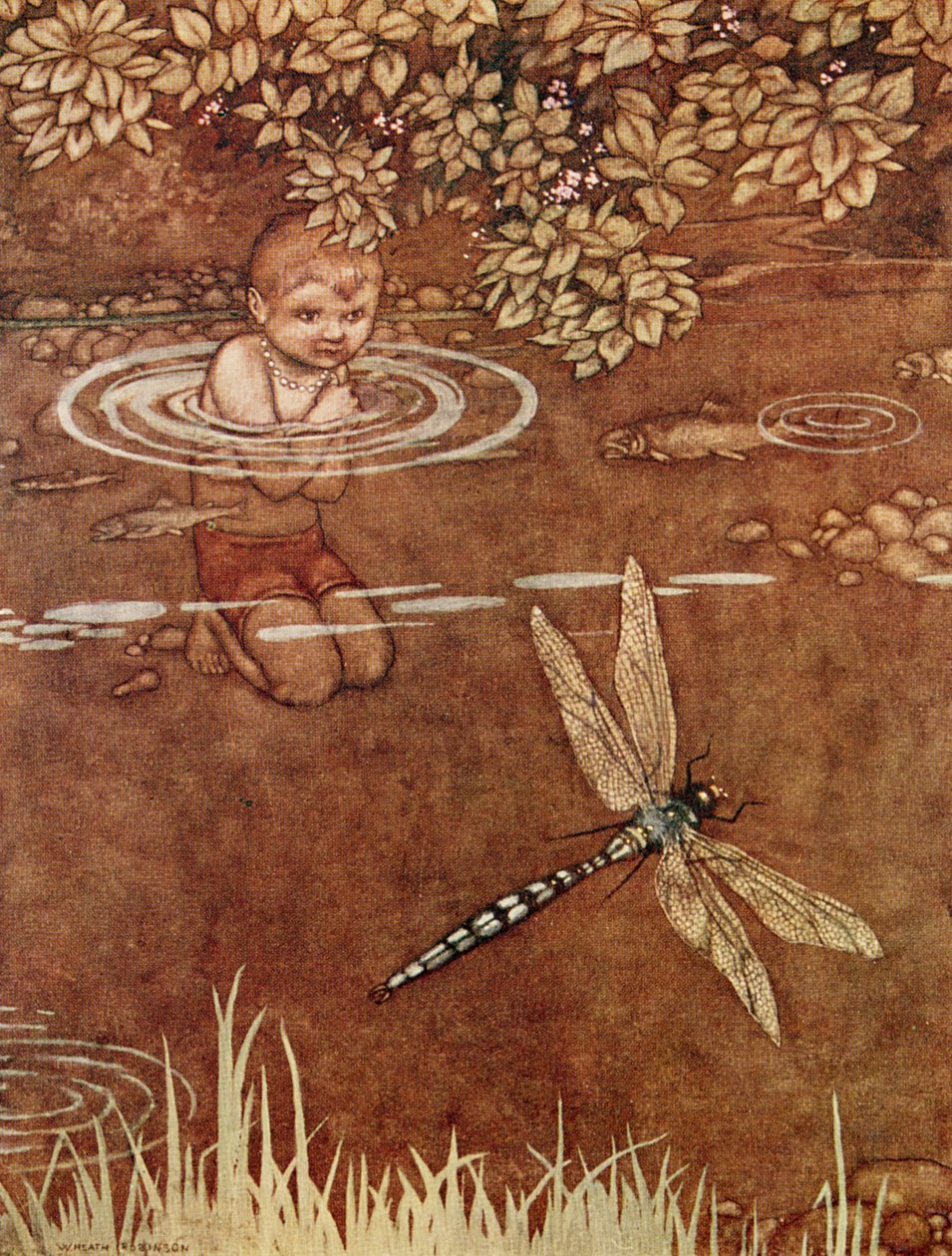 Han var lite förnöjd med sina fina färger och sina stora vingar. av William Heath Robinson