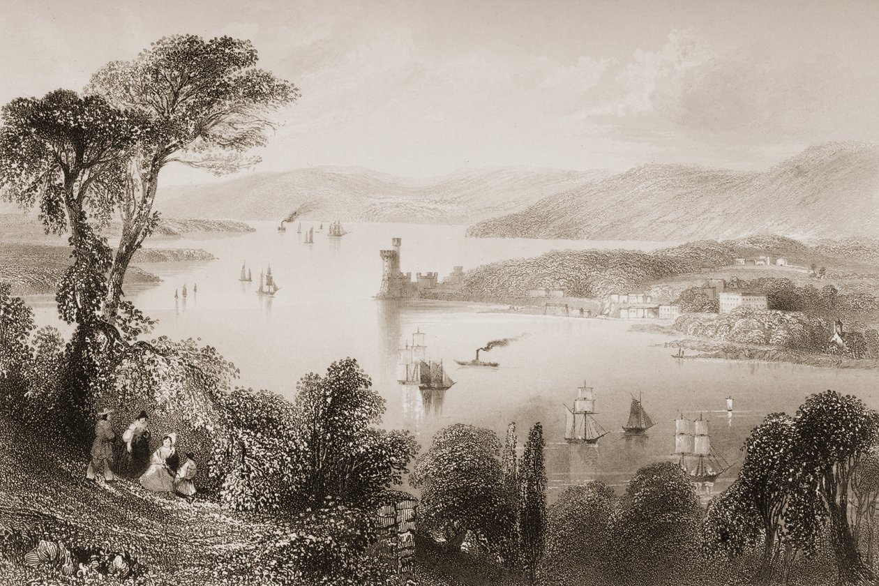 The Cork River under Glanmire Road, County Cork, Irland, från "Scenery and Antiquities of Ireland" av George Virtue, 1860-talet av William Henry Bartlett