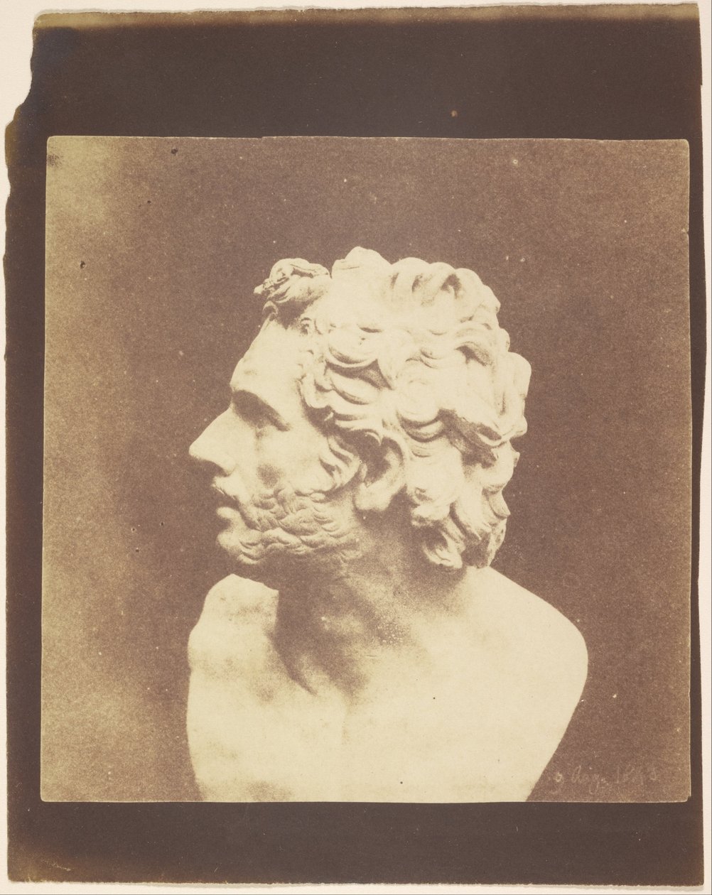 (Bust of Patroclus) av William Henry Fox Talbot