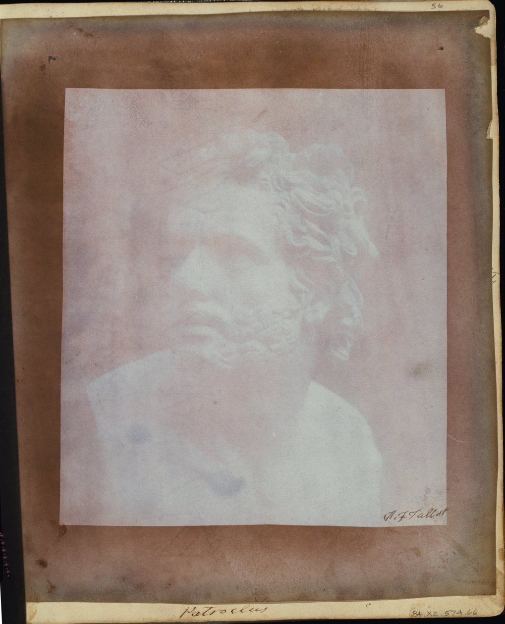 Bust of Patroclus. av William Henry Fox Talbot