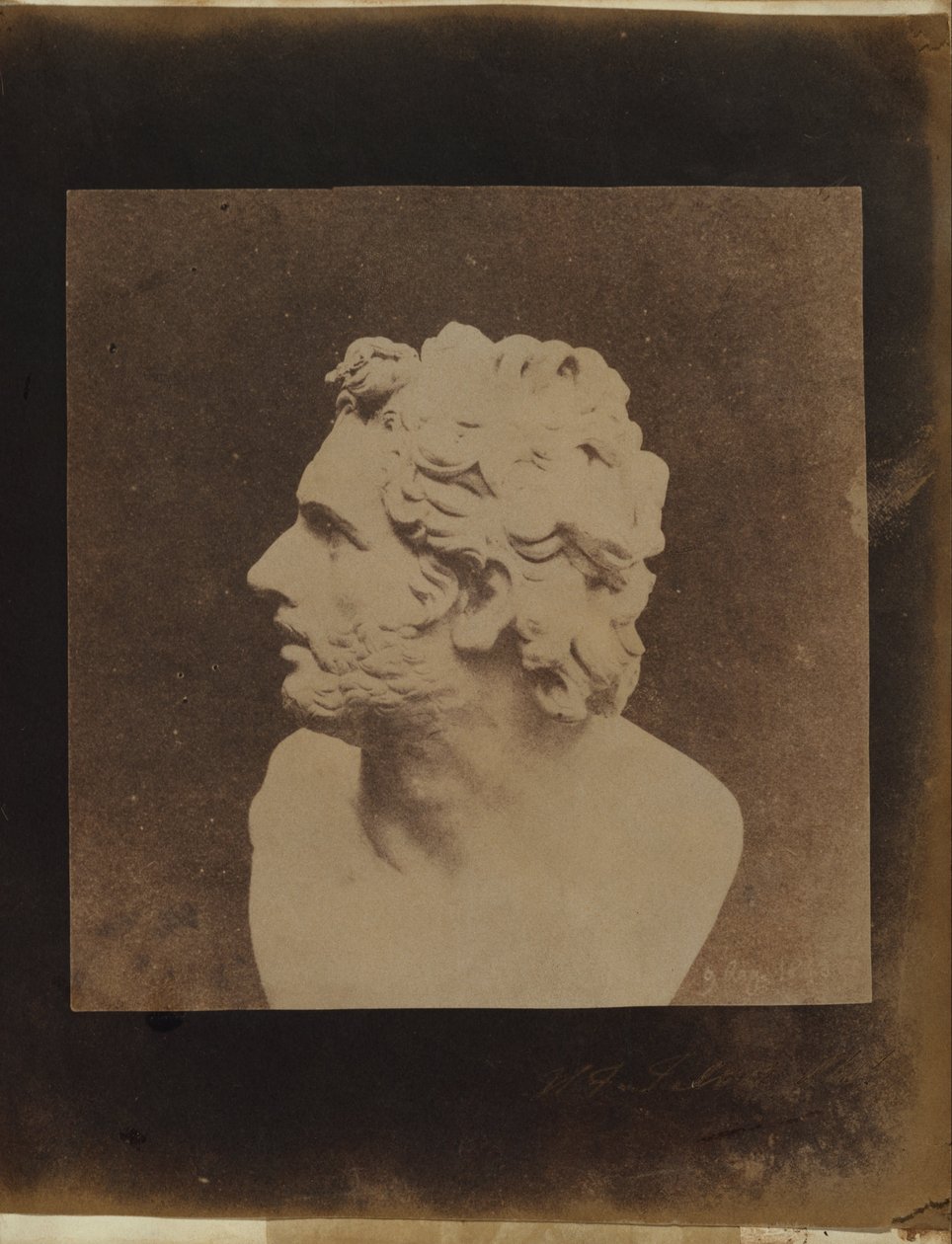 The Bust of Patroclus. av William Henry Fox Talbot