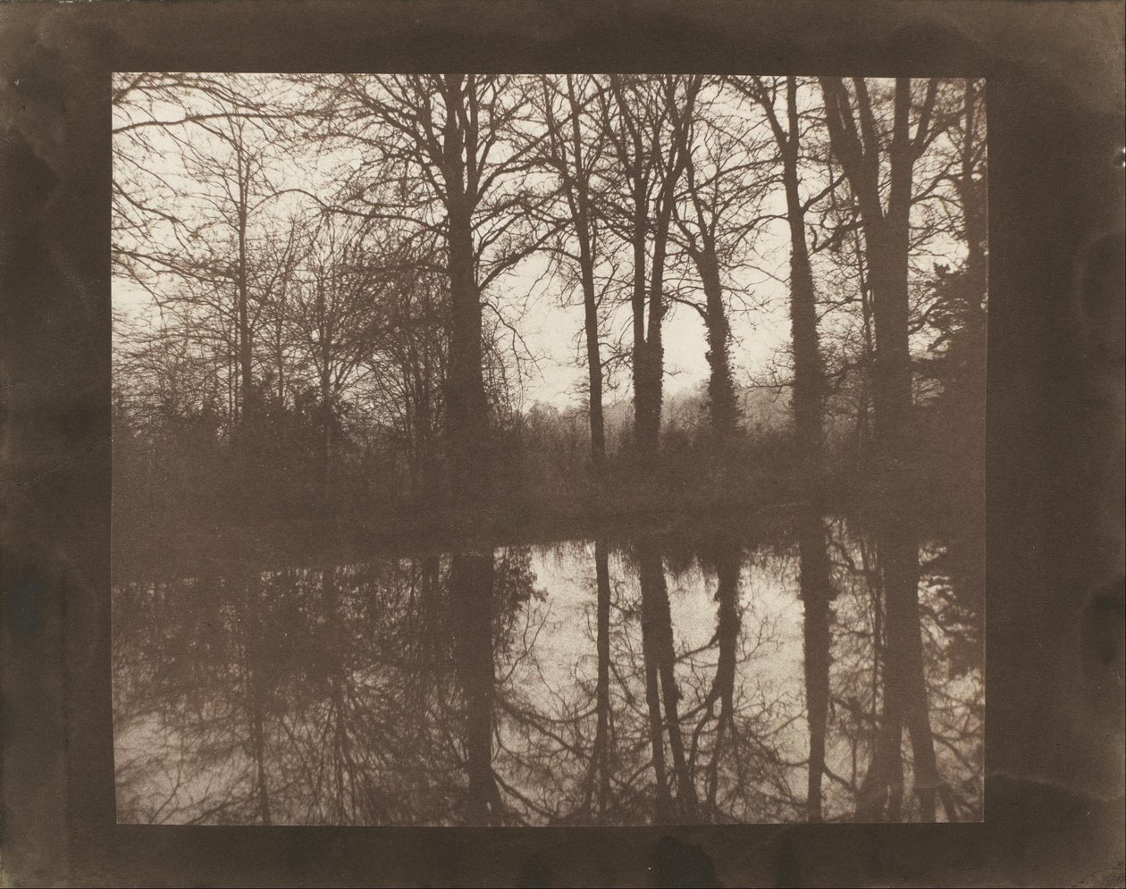 Träd och reflektioner av William Henry Fox Talbot