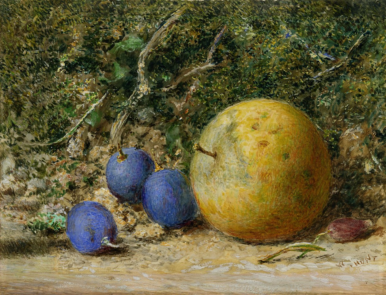 Tre druvor och ett äpple (wc på papper) av William Henry Hunt