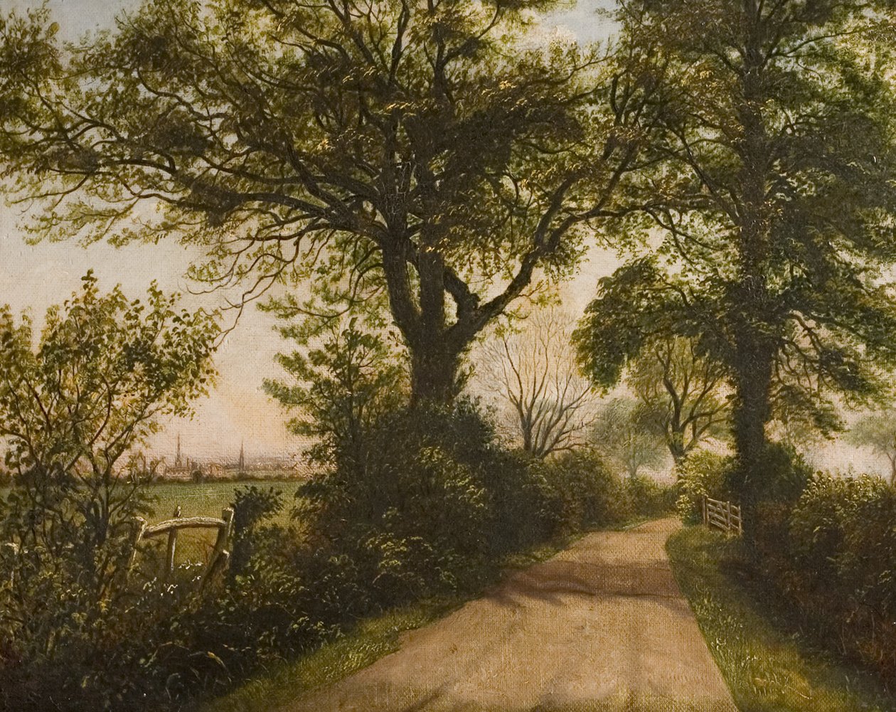 Avlägsen utsikt över Coventry, sent 1800-tal av William Howard Reeve