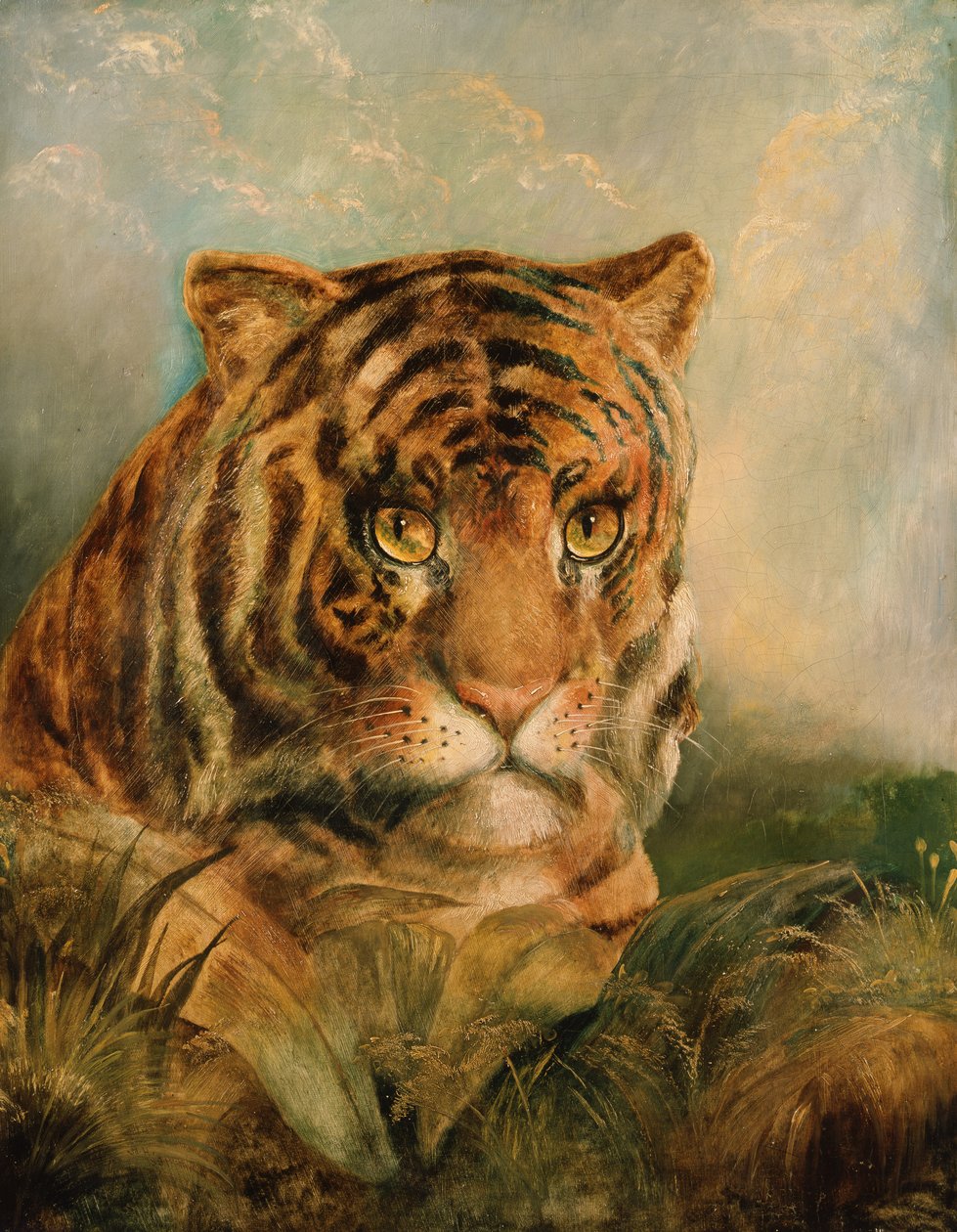 Okänd bild av William Huggins