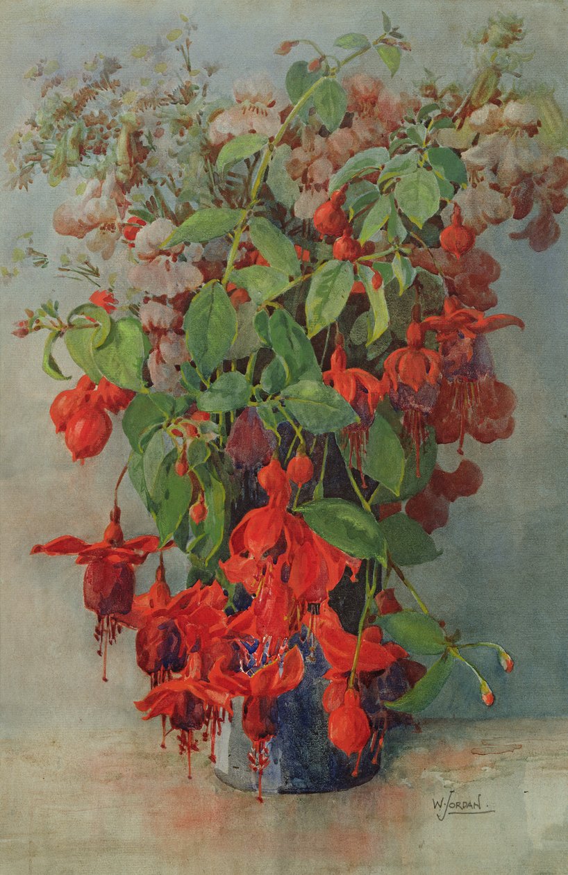 Fushia och Snapdragon i en vas (penna och wc) av William Jordan