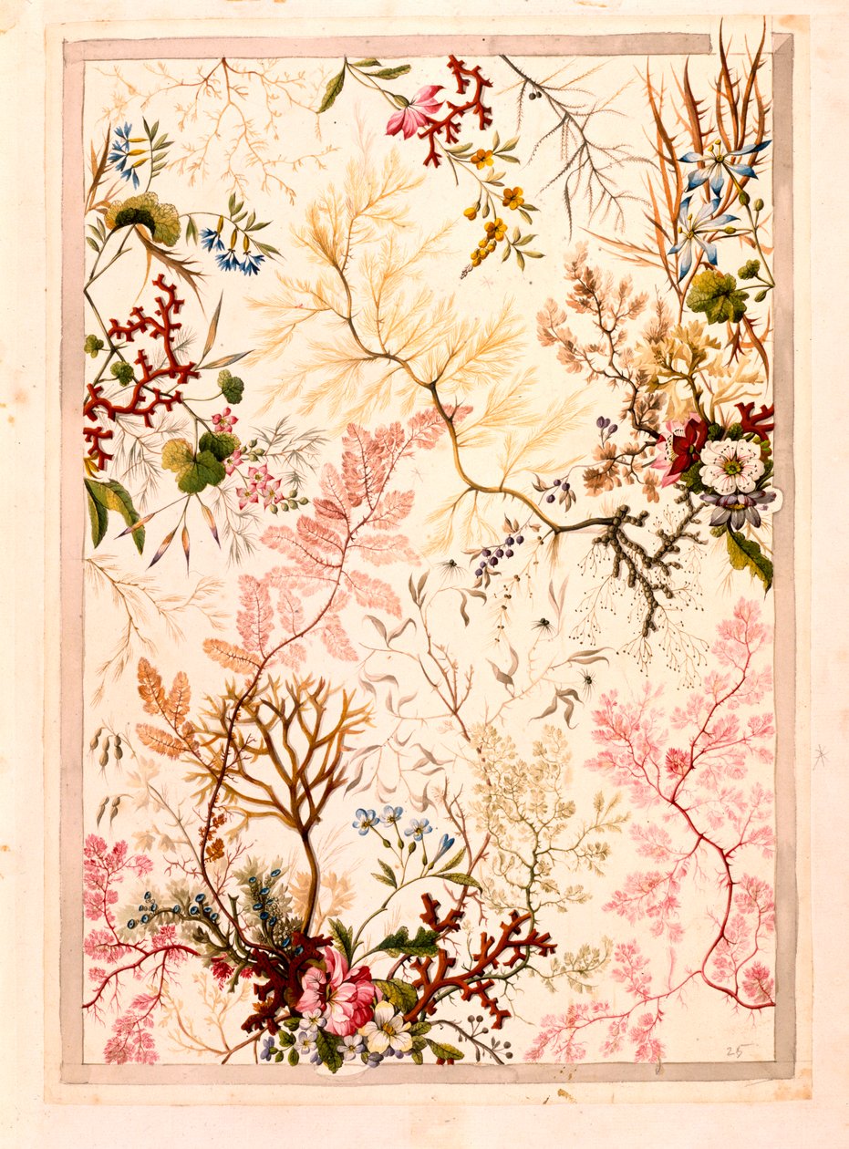 Marmorpapper (papper) av William Kilburn