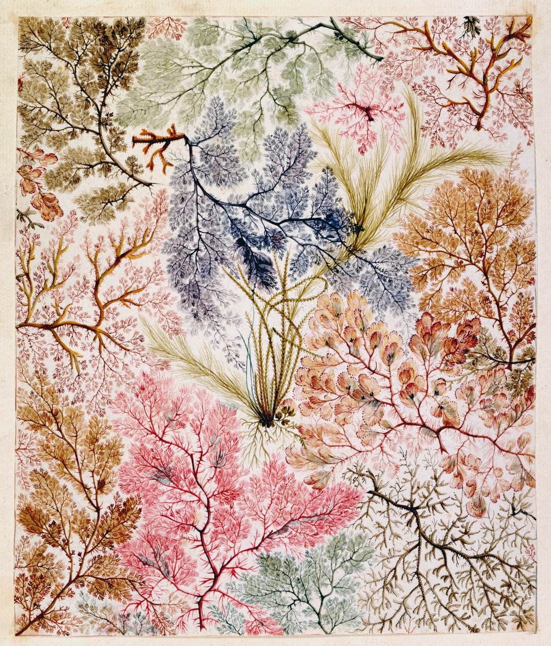 Textildesign, ca 1788-92 av William Kilburn