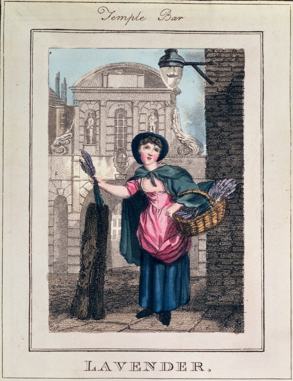 Lavendel, Temple Bar, från "Cries of London", utgiven av Richard Phillips (1778-1851) 1804. av William Marshall Craig