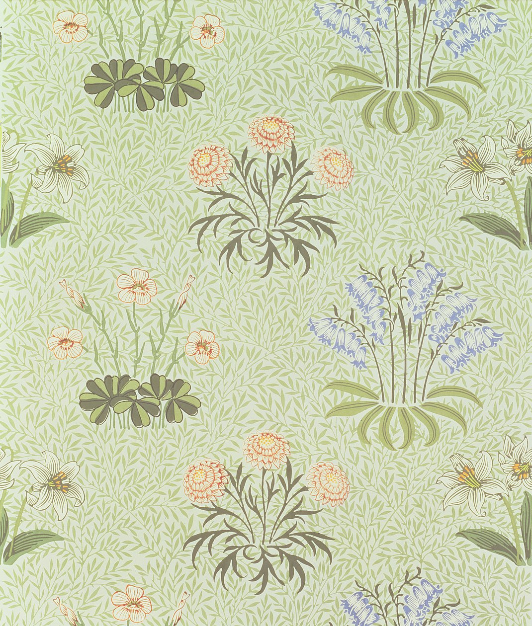 Daisy designtapet med liljekonvalj och andra vilda blommor på en "pil"-bakgrund, designad av William Morris (1834-96) 1862 av William Morris