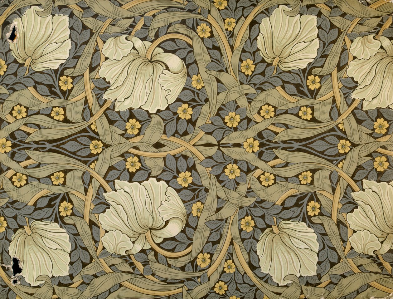 Pimpernel, design för tapeter, 1876 av William Morris
