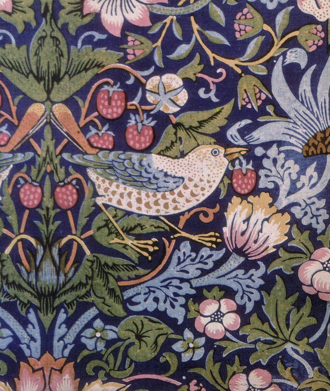 Strawberry Thief gardin, 1883 (tryckt textil) av William Morris