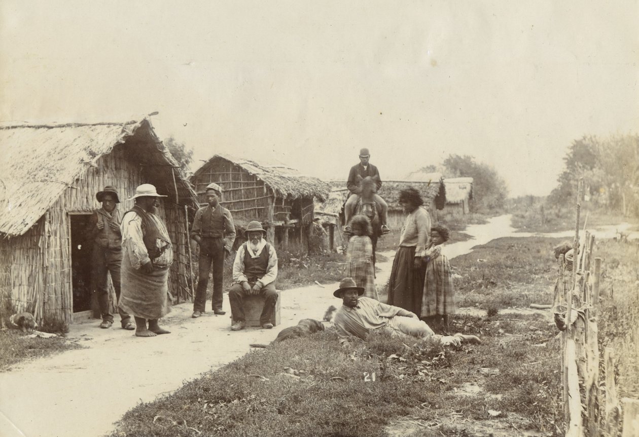 Kaiwhaiki pa, Upokongaro, ca 1895 (silvergelatintryck) av William Partington