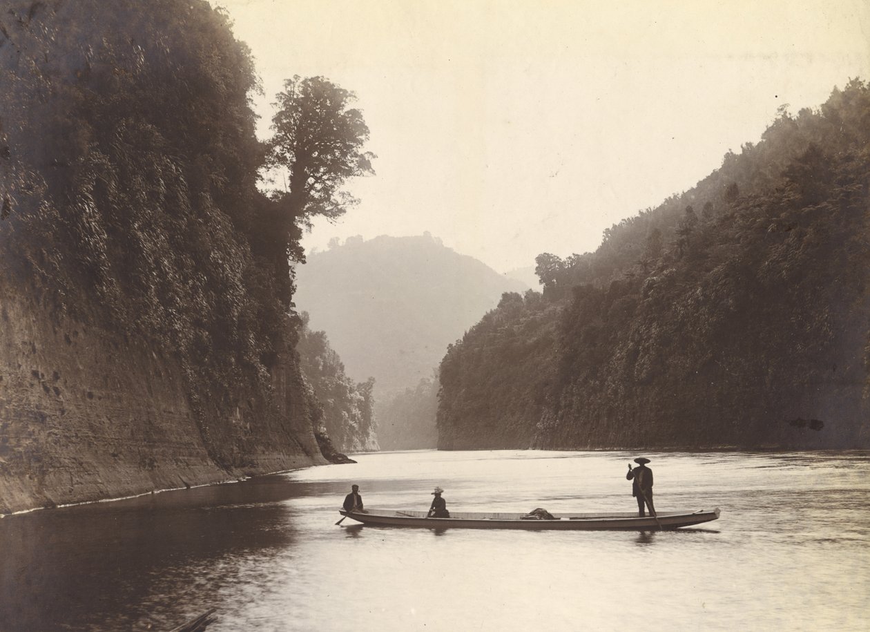 Whanganui River, ca 1905 (silvergelatintryck) av William Partington